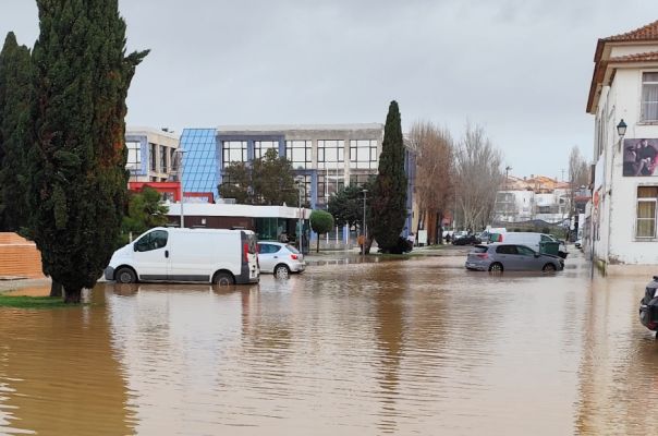 Intemp&eacute;ries: Plataformas para pedir apoios nas regi&otilde;es do Centro e de Lisboa j&aacute; est&atilde;o dispon&iacute;veis